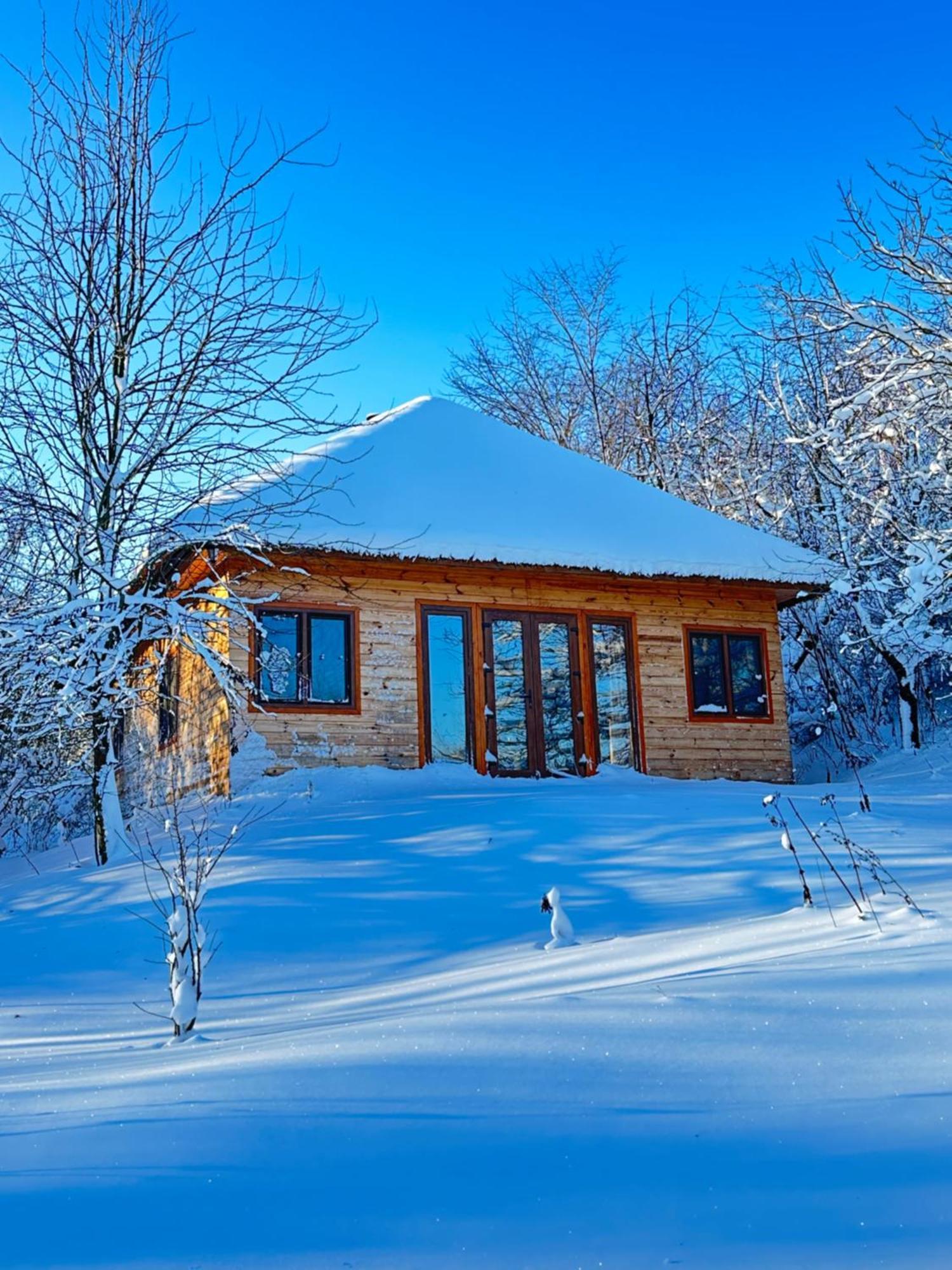 Козацька Фортеця Pliskachevka Exterior photo